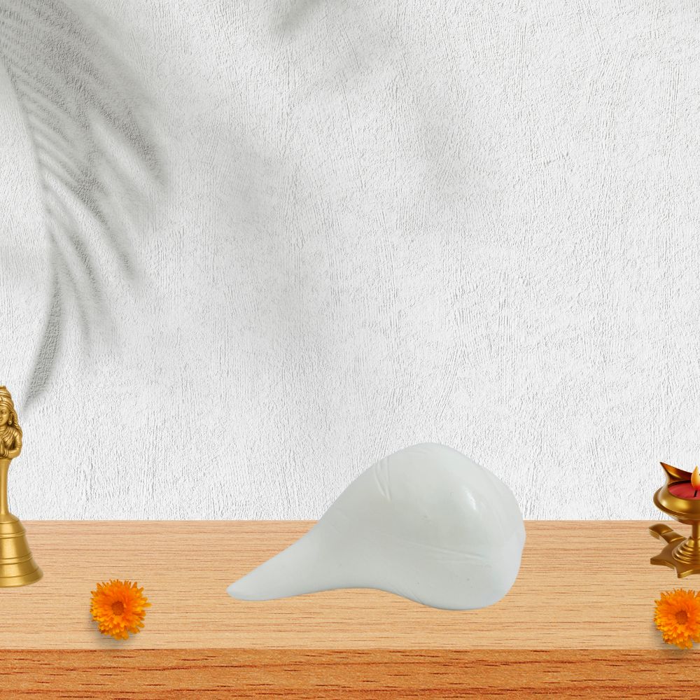 Natural White Shankh – Original Conch Shell for Puja, Vastu & Prosperity