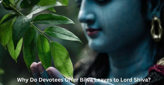 Bilva Leaves Scientific & Spiritual Meaning
