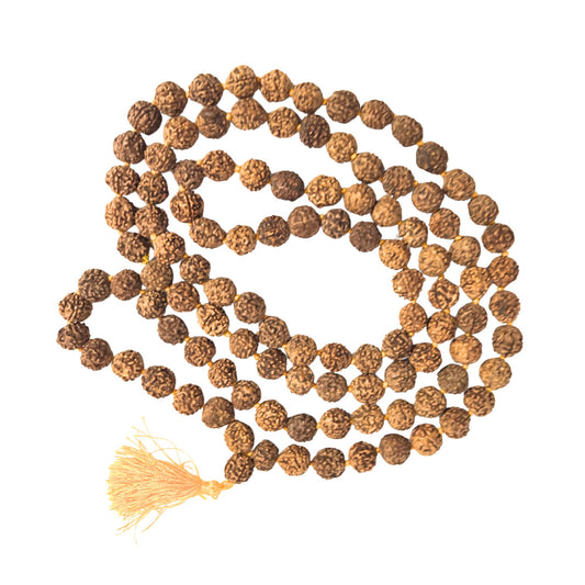 Brown Rudraksha Mala – 10MM | 108+1 Natural Beads for Wearing, Meditation & Jaap