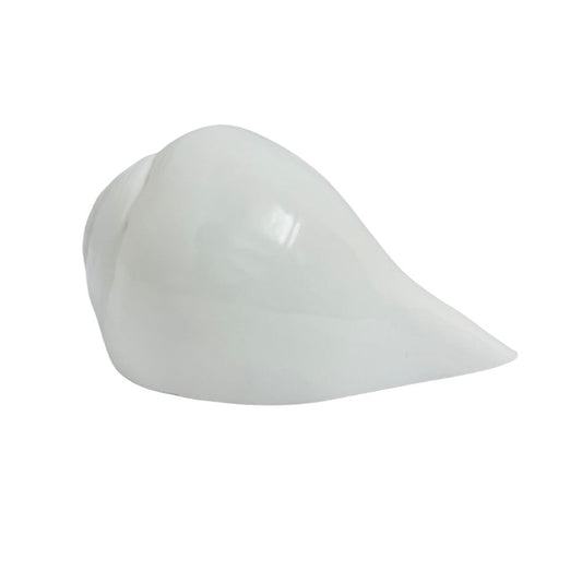 Natural White Shankh – Original Conch Shell for Puja, Vastu & Prosperity